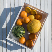 ���� ����� ������������� Kitchen Active Design ����� 30,5x22,5x19,5�� 16950011