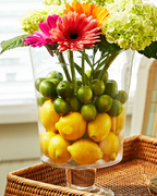 ���� Candy bar 36�� mzD047