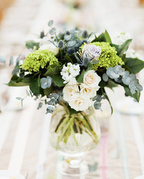 ���� Geneva 20,5�� mzD057