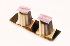 ����� ��� ������ SiliconFlex SF033/C