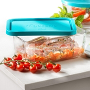 ��������� � ������� Frigoverre System 21�13�� 335160MA3121990