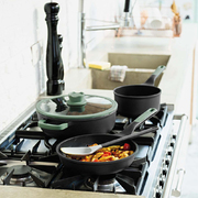 �������� � ������� Leo Forest 5,6� 3950400