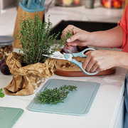 ������� ������������� LEO Spirit 21�� 3950341