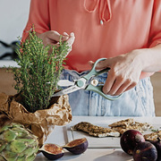 ������� ������������� Leo Forest 21�� 3950349