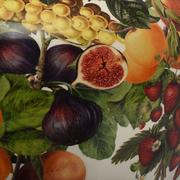 ���� Le Primizie 49�� 52188