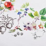 �������� � ���������� ��������� ���� ������� 200�� FruiSaALTeMantel-D200-DAC