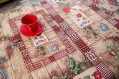 ����� � ���������� ��������� ѳ������ ��������� 40�100�� TesisTeAllRuner-40x100DAC