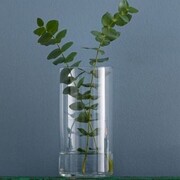 ���� Flora 29�� 35940