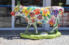 ��������� ������������� Vaca Flora 30�9�20�� 46792