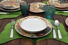 ���� ������ Saba 6/18 56378