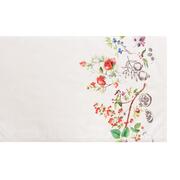 ������ � ���������� ��������� ���� ������� 50�160�� FruiSaRoTeRunner-50x160DA