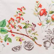 ������ � ���������� ��������� ���� ������� 50�160�� FruiSaRoTeRunner-50x160DA