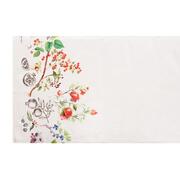 ������ � ���������� ��������� ���� ������� 50�160�� FruiSaRoTeRunner-50x160DA