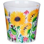 ������ Cairngorm Campagne Sunflower 480�� 111002725