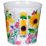 ������ Cairngorm Campagne Sunflower 480�� 111002725