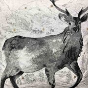 ��������� Black Night ����� 45�45�� 4823093436251