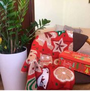 ���� ������ 90�130�� 4823093423947