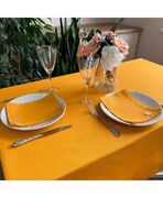 �������� ������������� Orange 35�45�� 4823093431096