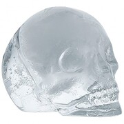 ����� ��� ���� Bar and Wine Cranio 11,5�8,5�4,5�� 150858