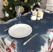 ���������� Blue Sky 135�350�� 4823093435933