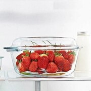 �������� � ������� Borcam 2,1� 59003