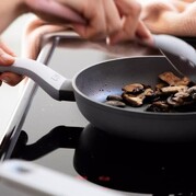 ���� ������ Leo Lite 8500006