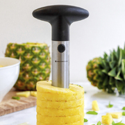 ��� ��� ���������� ������� Master Class 8�� MCPACORESS