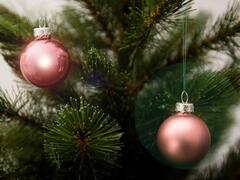 ���� ��������� ������� 4�� 8720362102304