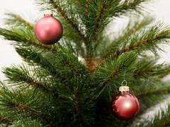 ����� ������� ������� 6�� 8720362102359