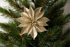 ���� ��������� ������� ����� 10�� 8720362230823