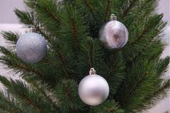 ����� ������� ������� 6�� 5900779840621_2