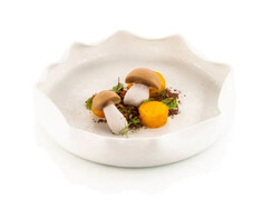 ����� ��� ������� 5,9�3,6�1,8�� NATURAE PORCINO