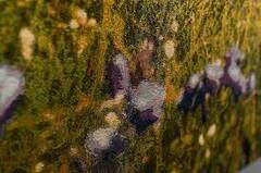 ����� ������� 140�100�� DolomitePannelM-140x100