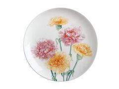 ������ �������� Floriade Carnations 20�� JY0046