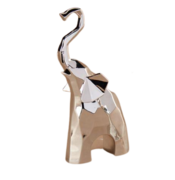 ���������� ���� 21�� 4360GV