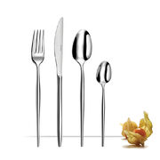 Набір столових приборів Soprano 6/24 F111400TR24C40