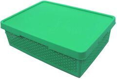 Кошик із кришкою Q-Basket 8х42х58см Green 36л