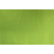 Коврик сервировочный салатовый 45х30см КВ099-5