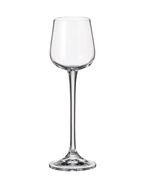 Набор рюмок Ardea без декора 60мл 1SF57/00000/060