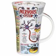 ������ Glencoe The Nervous System 500��