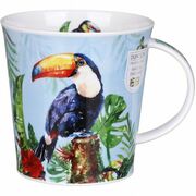 ������ Cairngorm Amazonia Toucan 480��