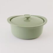 ����� ��� ��������� � ������� Leo Balance green 24�11,5�� 3950512