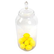 ���� � ������� 55�� VET-1650