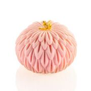 ����� ��� ������� 5,8�3,7�� KIKU 70