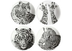 Тарелка салатная Wild Spirit 21,5см 12-1-1C