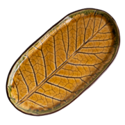 ����� �������� ����� ����� ������ � ������� 26�14�� F0402060912