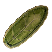 ����� ���� ����� ����� ������� 30�11�� F05010715