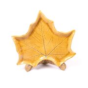 ����� ������ ����� ���� ������ 22�� F060103