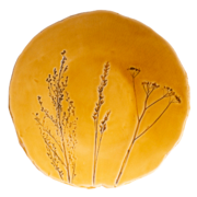 ������� ��������� ����� ����������� ������ ������ ���� 26�� F0206101518