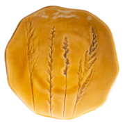 ������� �������� ����� ����������� ������ �������� ���� 22�� F0204111519